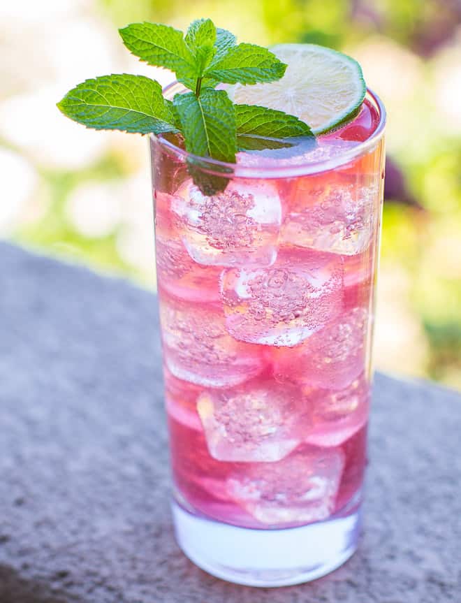 https://omgfood.com/wp-content/uploads/2015/08/PAMA-Pomegranate-Mojito-Culinaryhill.jpg