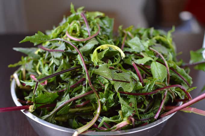 Closeup of dandelion greens in a large bowl.