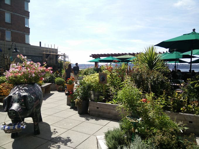 Two people walking through a city garden.