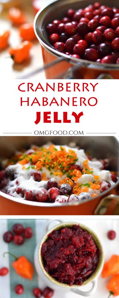 Cranberry Habanero Jelly - A spicy jelly that could be used on crackers, toast, or as a tasty food topping. | omgfood.com