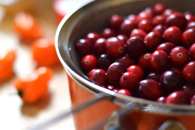 Front view of cranberries in a mesh strainer.