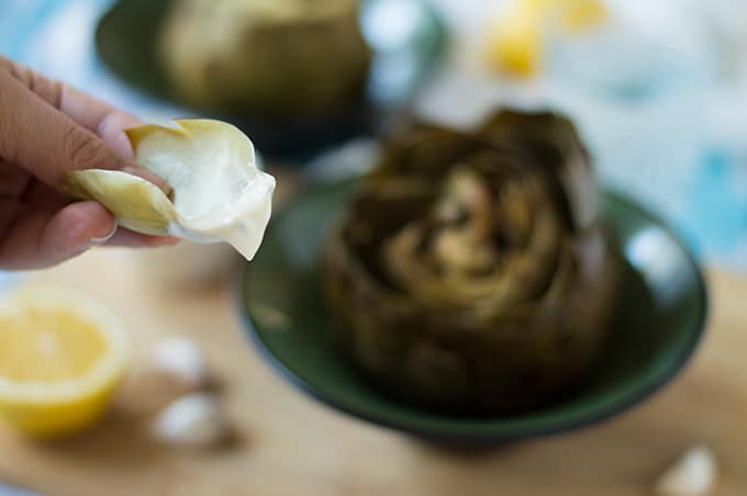 Close up of a piece of artichoke dipped in aioli.