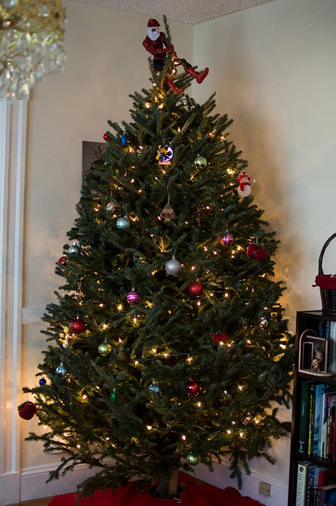 A Christmas tree in a room next to a bookcase.