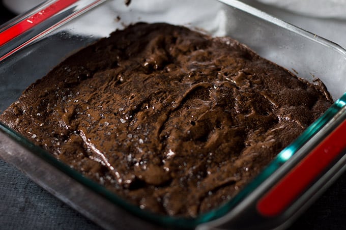 Close up of baked brownies in a glass pan.