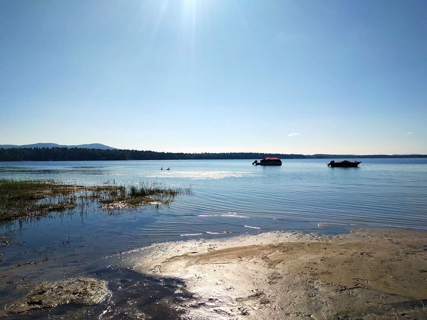 A sandy beach next to a lake.