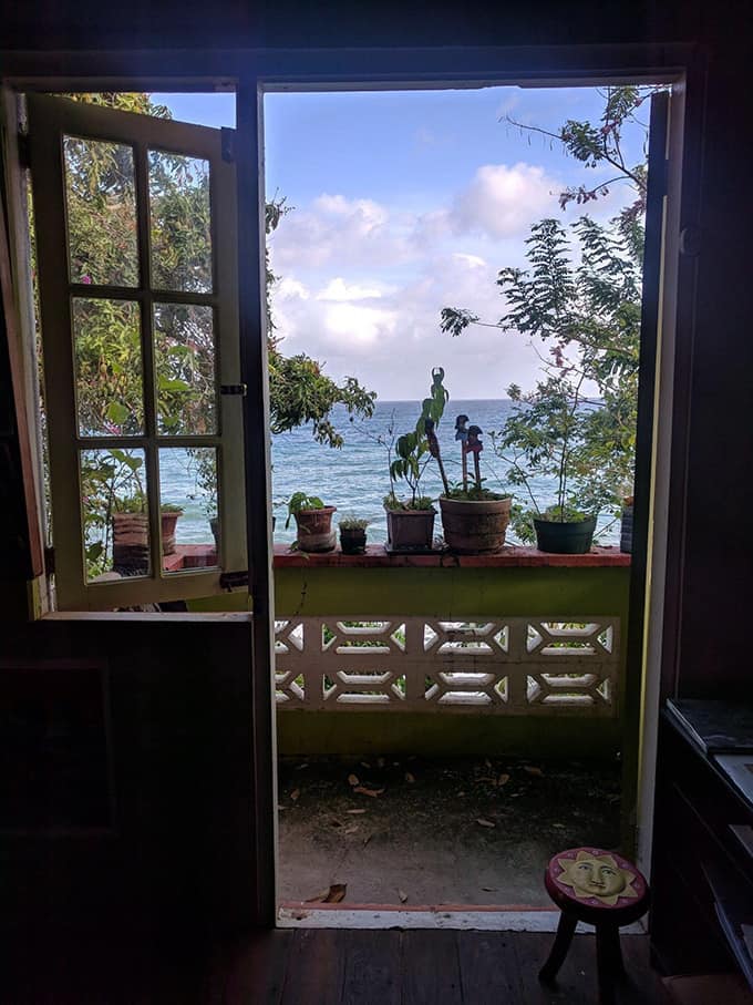 A view of a potted plants and the ocean through an open door.