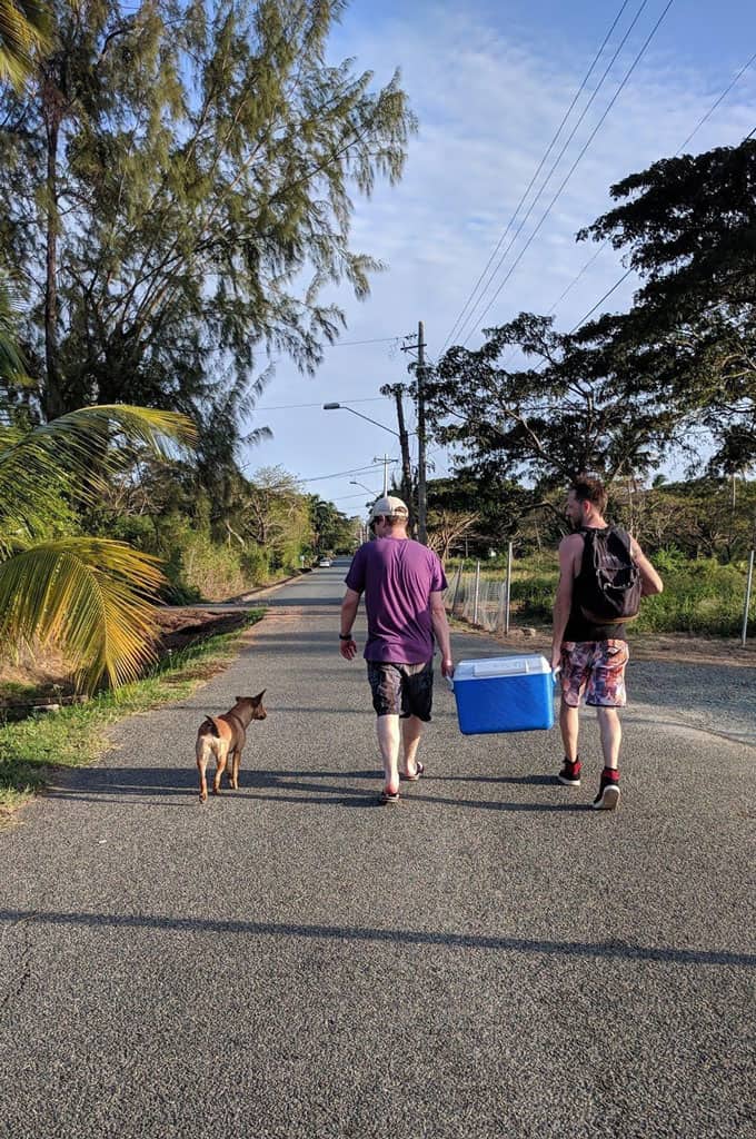 Two people holding a cooler and walking down a street next to a dog.