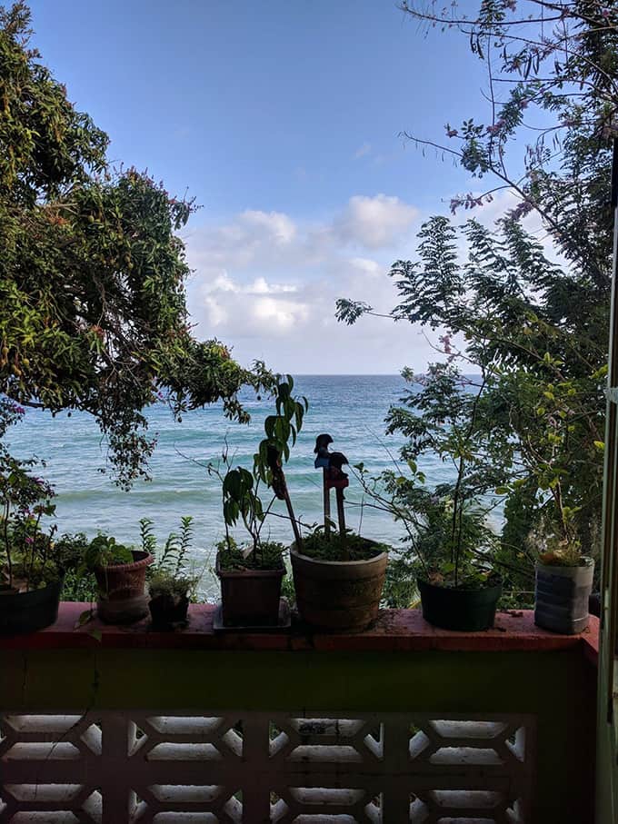 A view of a potted plants and the ocean from a deck.