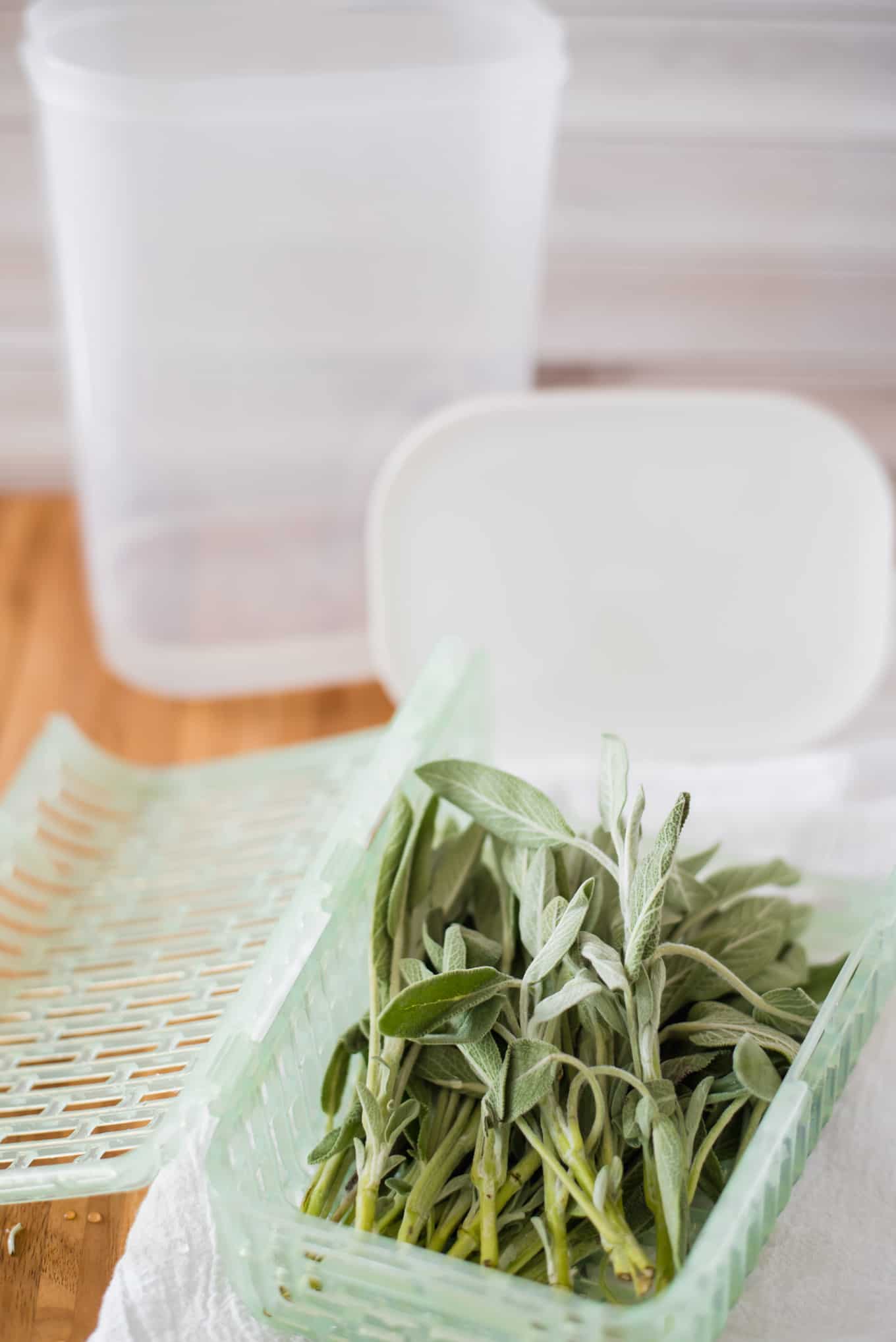 An opened plastic herb container with sage resting on top.